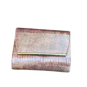 Vintage 1960’s Andes snakeskin clutch